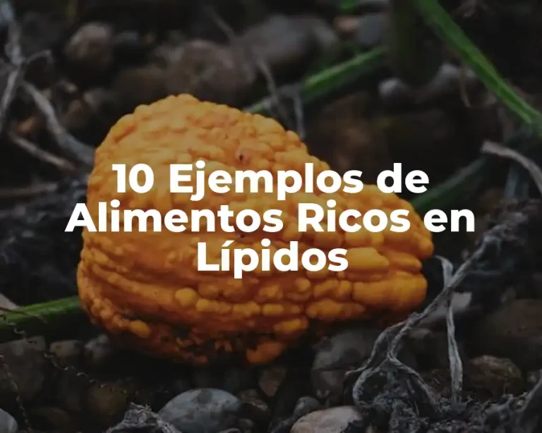 10 Ejemplos de Alimentos Ricos en Lípidos