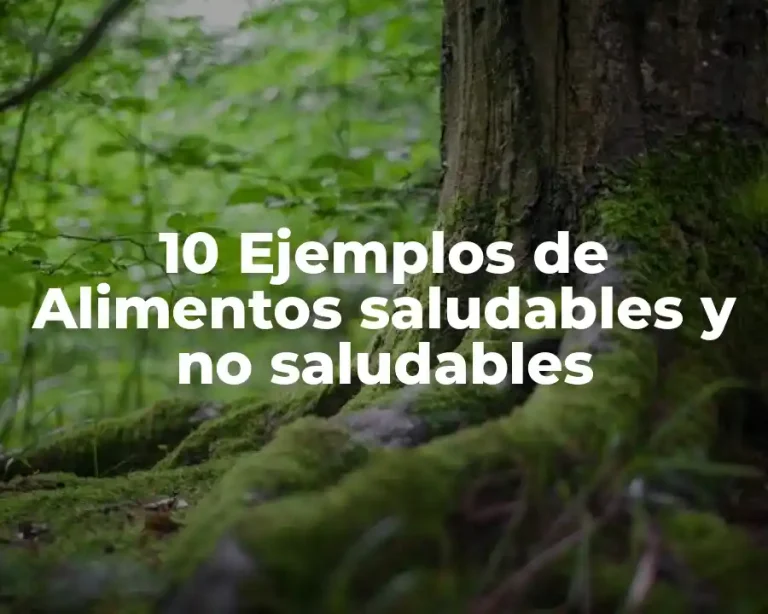 10 Ejemplos de Alimentos saludables y no saludables
