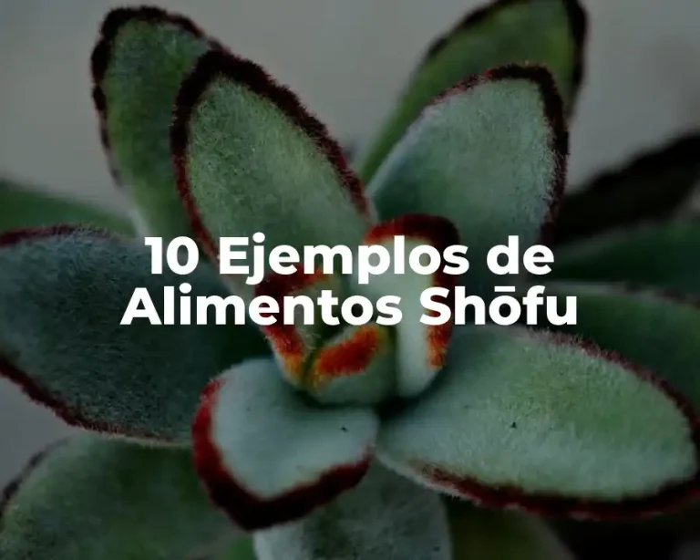 10 Ejemplos de Alimentos Shōfu