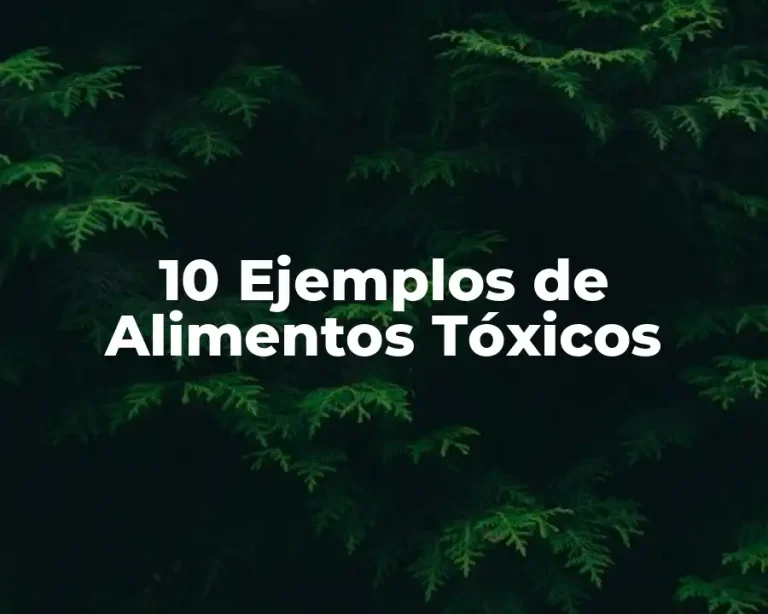 10 Ejemplos de Alimentos Tóxicos