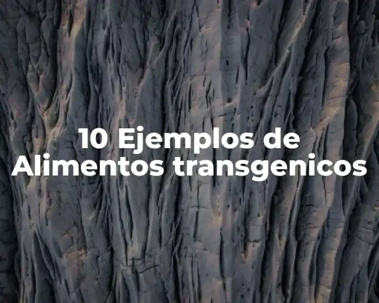 10 Ejemplos de Alimentos transgenicos