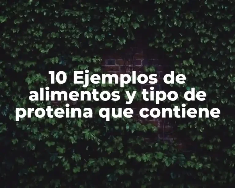 10 Ejemplos de alimentos y tipo de proteina que contiene
