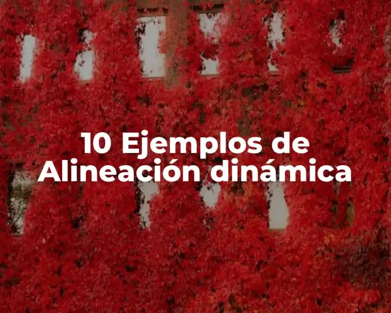 10 Ejemplos de Alineación dinámica