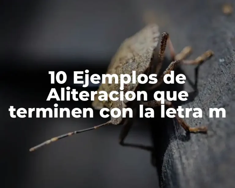 10 Ejemplos de Aliteracion que terminen con la letra m