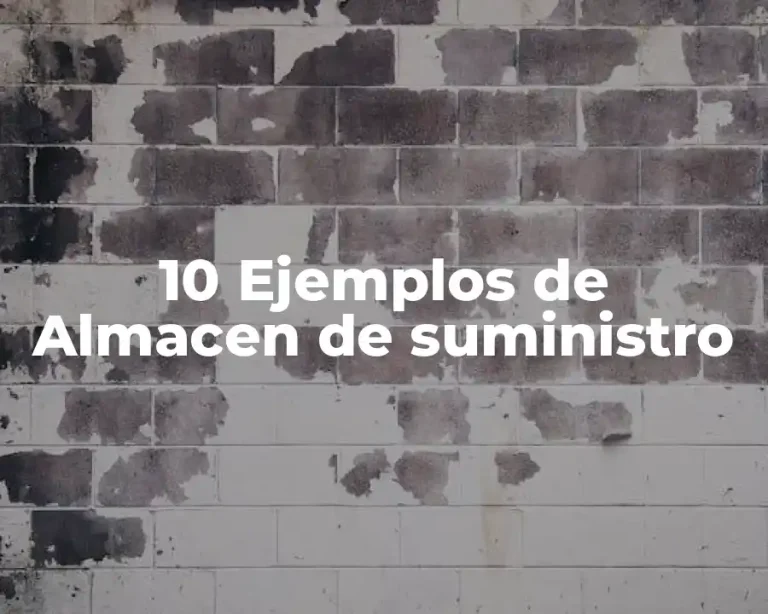 10 Ejemplos de Almacen de suministro