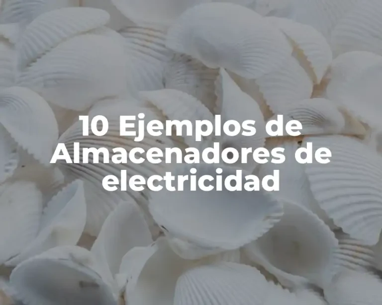 10 Ejemplos de Almacenadores de electricidad