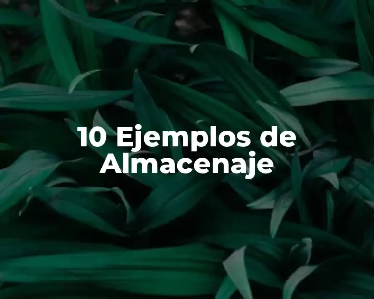10 Ejemplos de Almacenaje