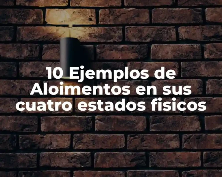 10 Ejemplos de Aloimentos en sus cuatro estados fisicos