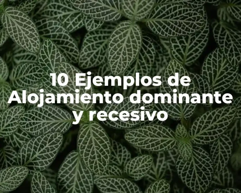 10 Ejemplos de Alojamiento dominante y recesivo