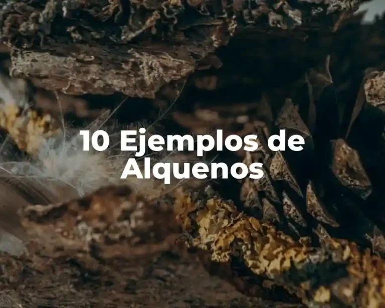 10 Ejemplos de Alquenos