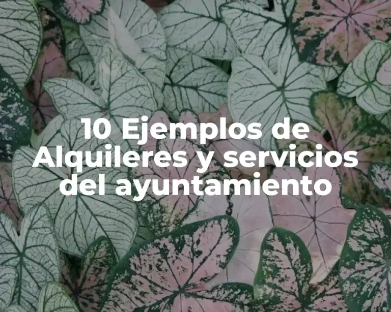 10 Ejemplos de Alquileres y servicios del ayuntamiento