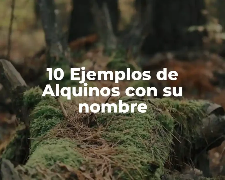 10 Ejemplos de Alquinos con su nombre