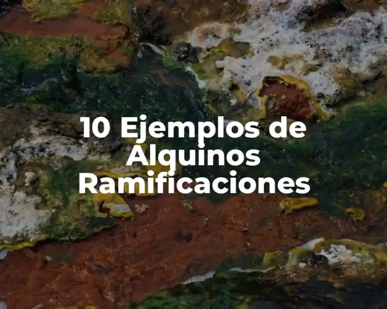 10 Ejemplos de Alquinos Ramificaciones