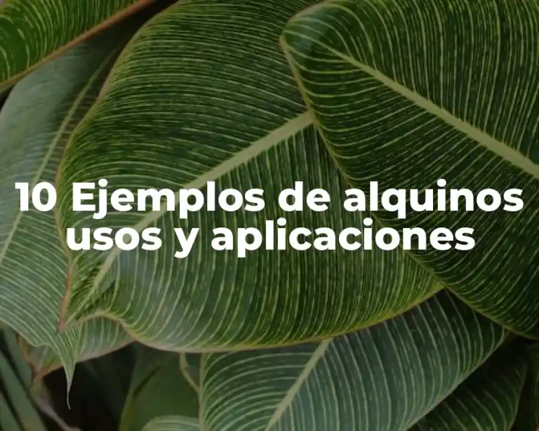 10 Ejemplos de alquinos usos y aplicaciones