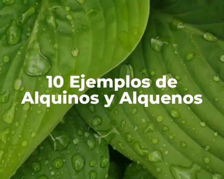 10 Ejemplos de Alquinos y Alquenos