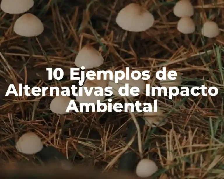 10 Ejemplos de Alternativas de Impacto Ambiental