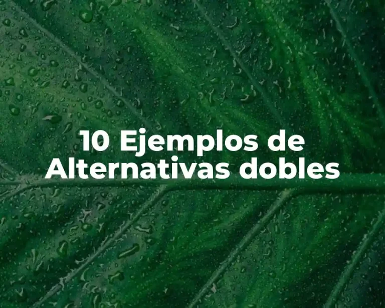 10 Ejemplos de Alternativas dobles