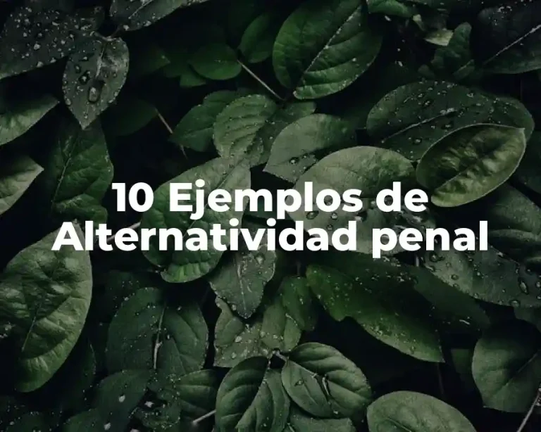 10 Ejemplos de Alternatividad penal
