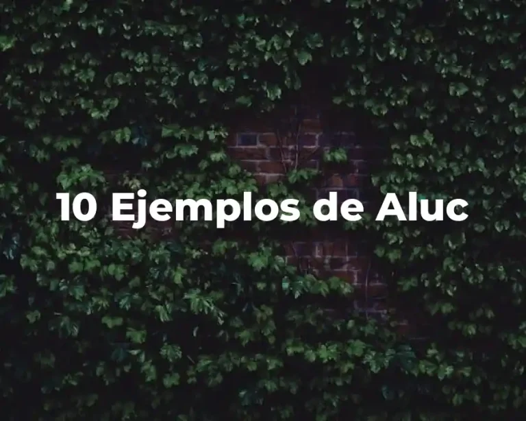 10 Ejemplos de Aluc