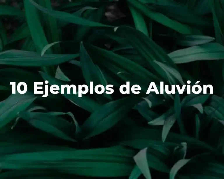 10 Ejemplos de Aluvión