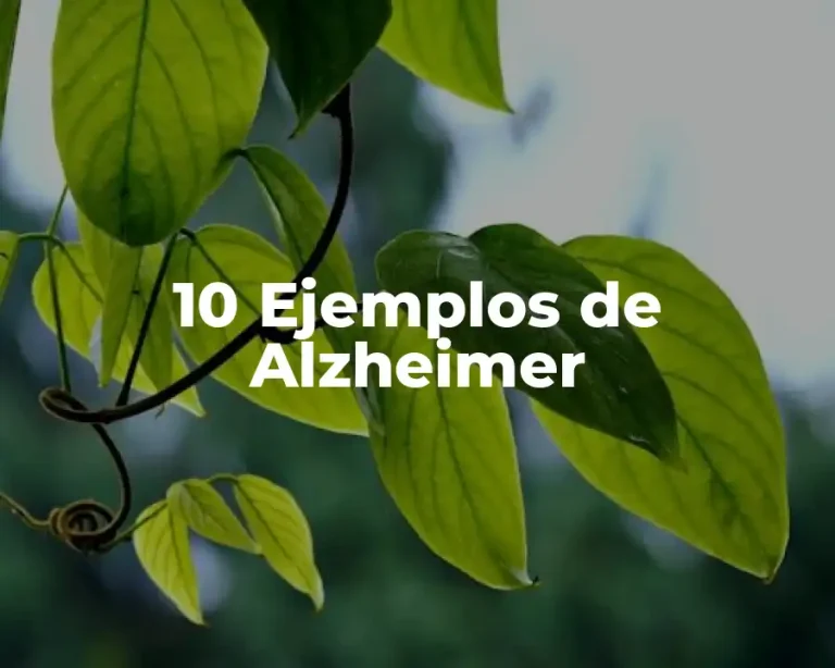10 Ejemplos de Alzheimer