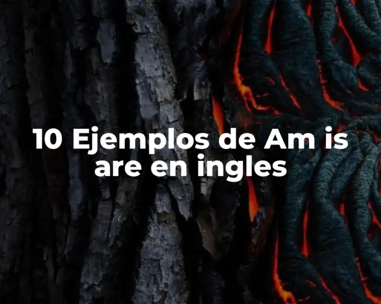 10 Ejemplos de Am is are en ingles