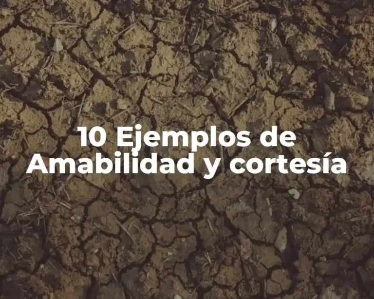 10 Ejemplos de Amabilidad y cortesía