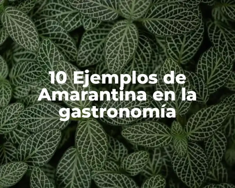 10 Ejemplos de Amarantina en la gastronomía