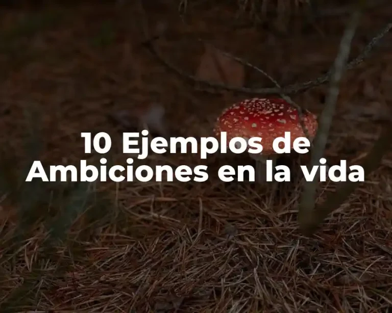 10 Ejemplos de Ambiciones en la vida
