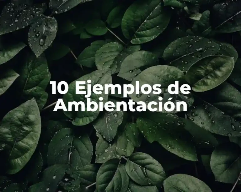 10 Ejemplos de Ambientación