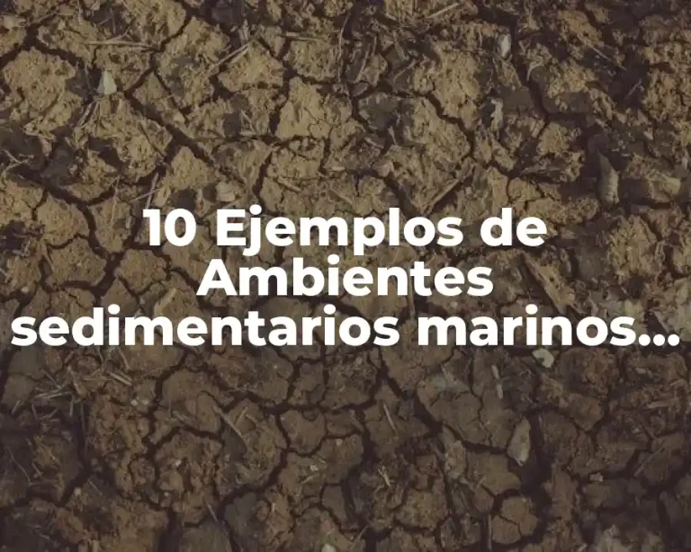 10 Ejemplos de Ambientes sedimentarios marinos de abisal