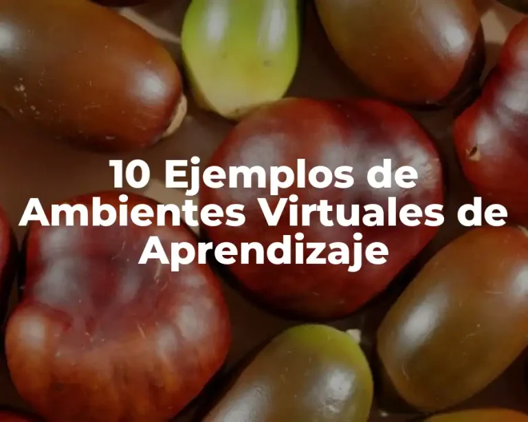 10 Ejemplos de Ambientes Virtuales de Aprendizaje
