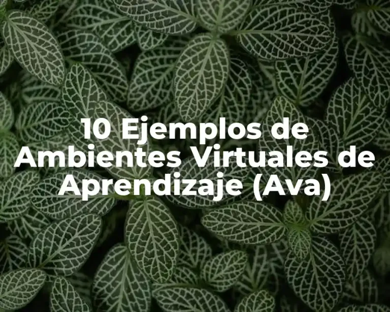 10 Ejemplos de Ambientes Virtuales de Aprendizaje (Ava)
