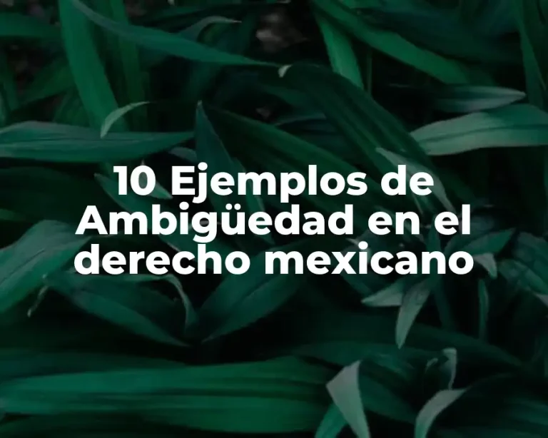 10 Ejemplos de Ambigüedad en el derecho mexicano