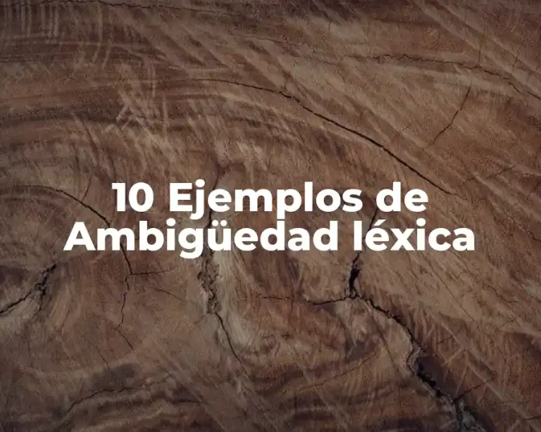 10 Ejemplos de Ambigüedad léxica