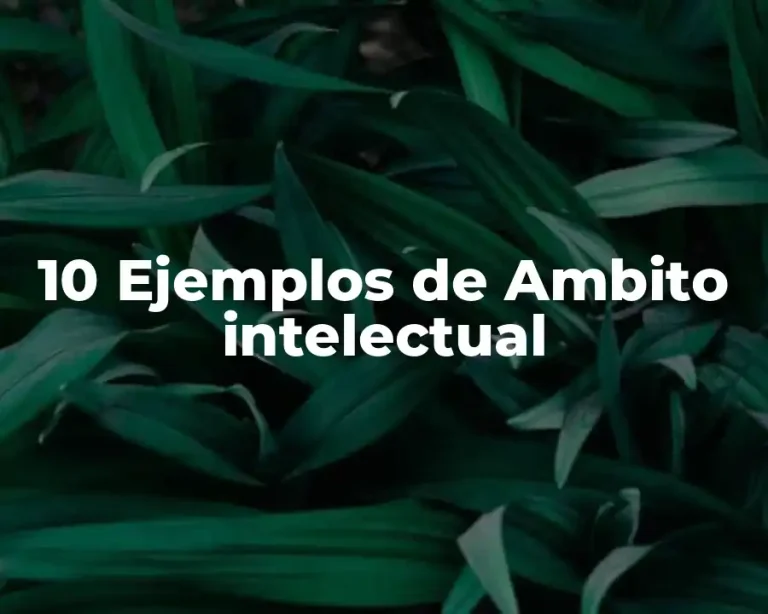 10 Ejemplos de Ambito intelectual