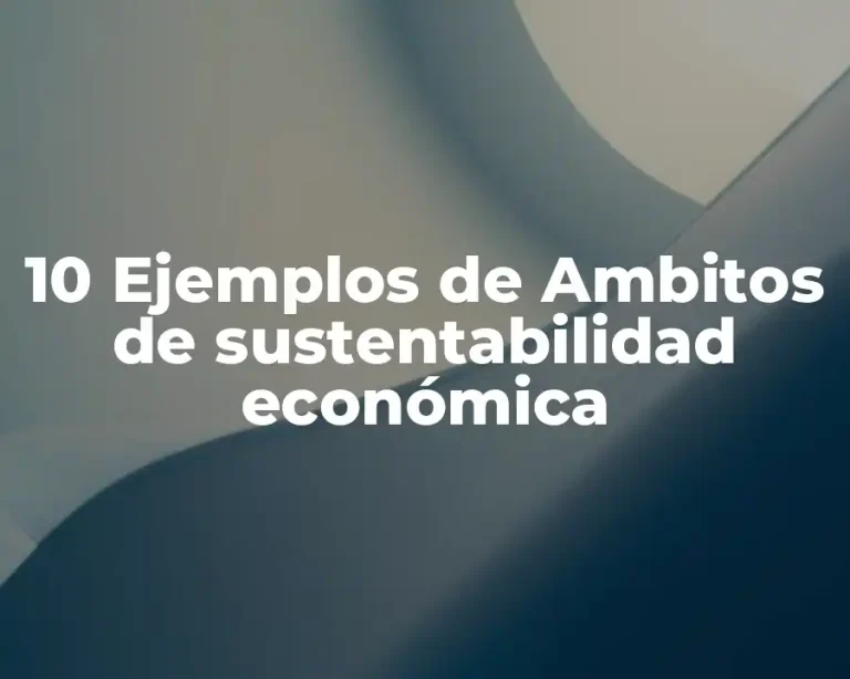 10 Ejemplos de Ambitos de sustentabilidad económica