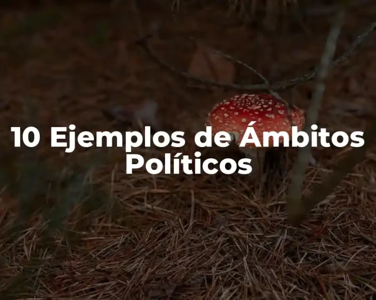 10 Ejemplos de Ámbitos Políticos
