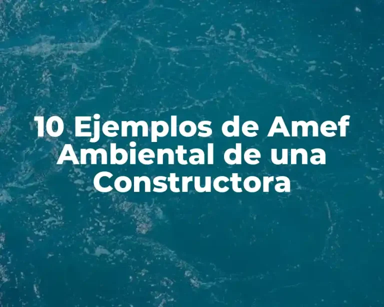10 Ejemplos de Amef Ambiental de una Constructora