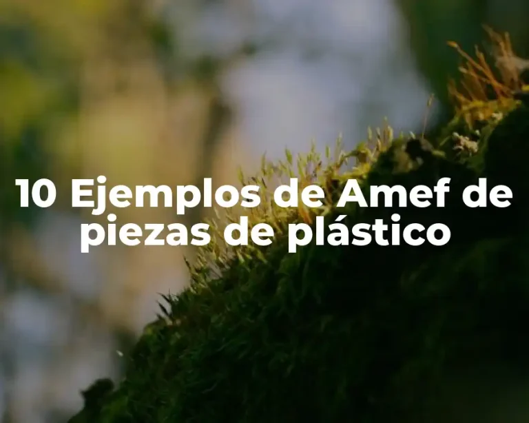 10 Ejemplos de Amef de piezas de plástico