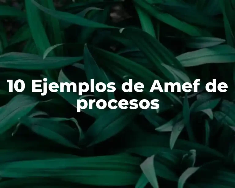 10 Ejemplos de Amef de procesos