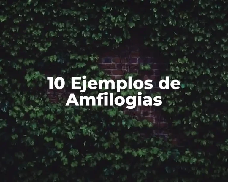 10 Ejemplos de Amfilogias