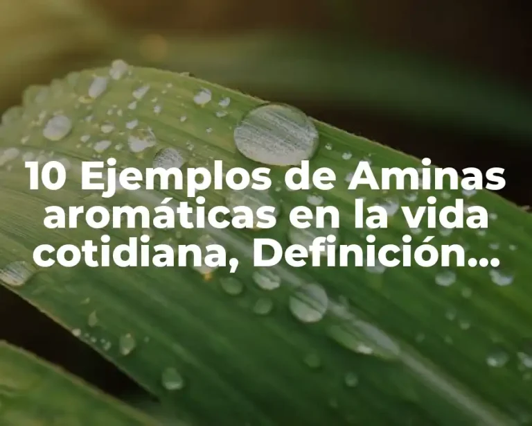 10 Ejemplos de Aminas aromáticas en la vida cotidiana, Definición, Diferencias y para que sirve