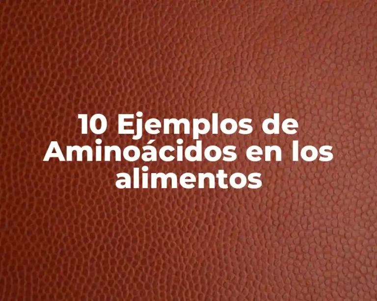 10 Ejemplos de Aminoácidos en los alimentos
