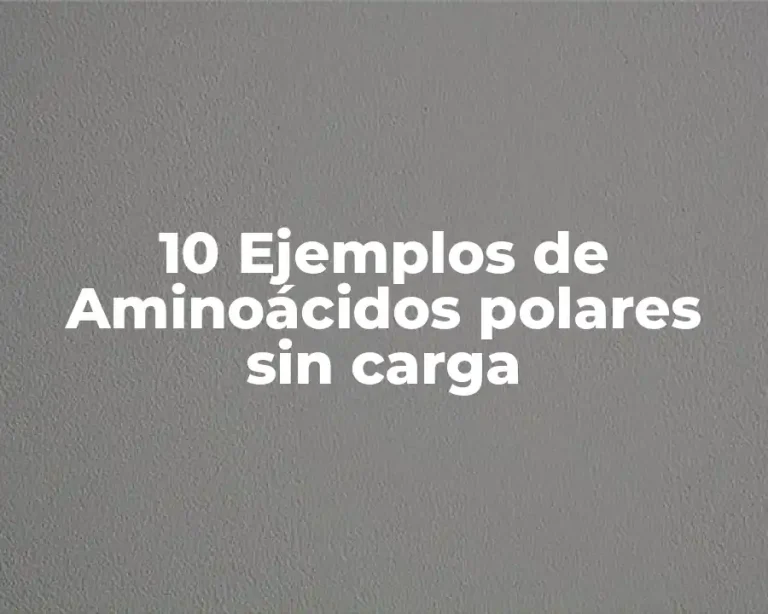 10 Ejemplos de Aminoácidos polares sin carga