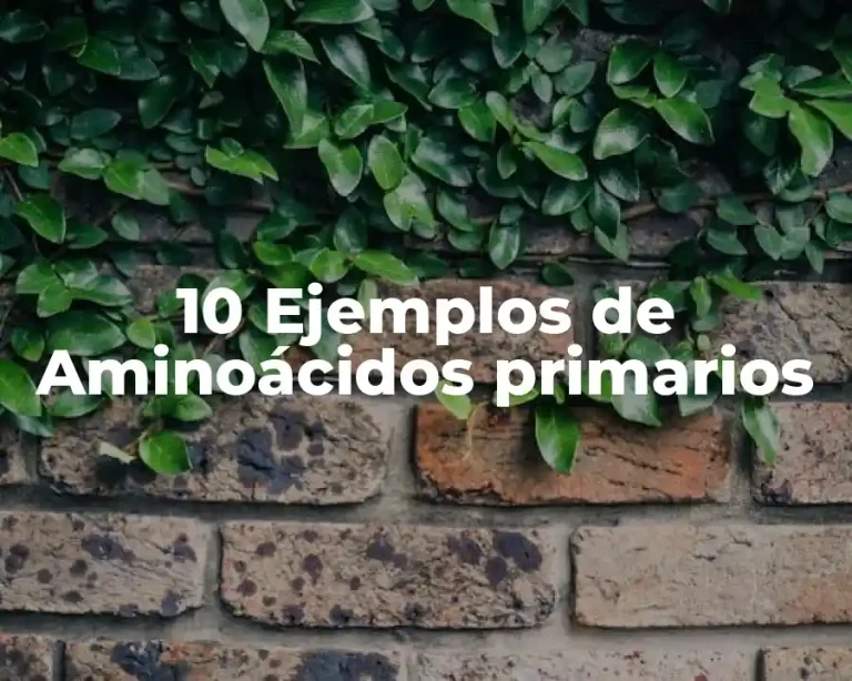10 Ejemplos de Aminoácidos primarios