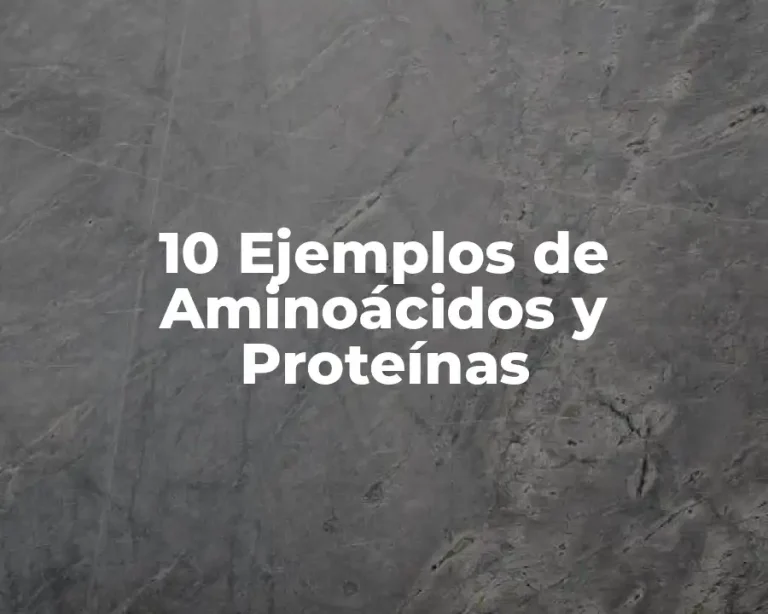 10 Ejemplos de Aminoácidos y Proteínas