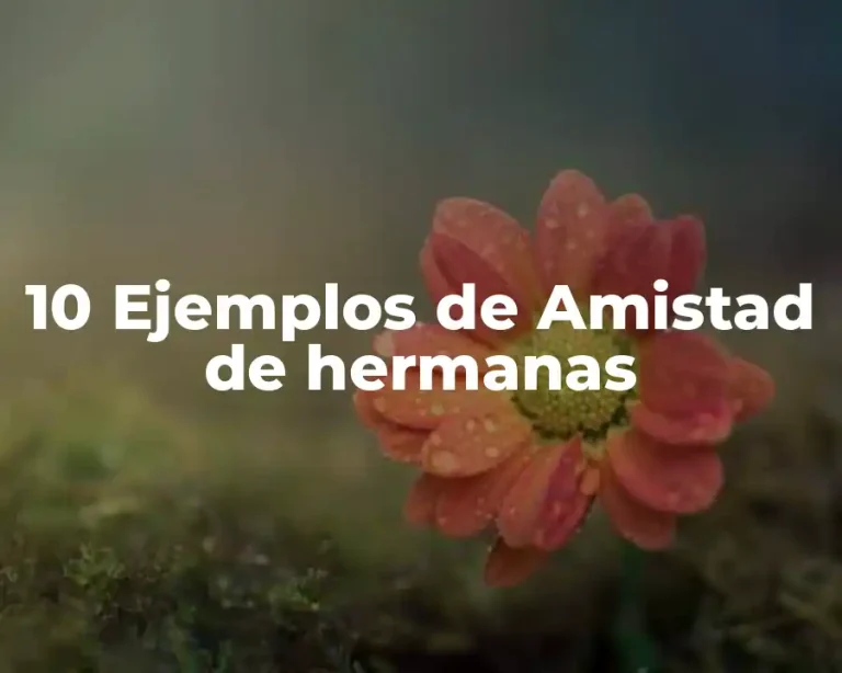 10 Ejemplos de Amistad de hermanas