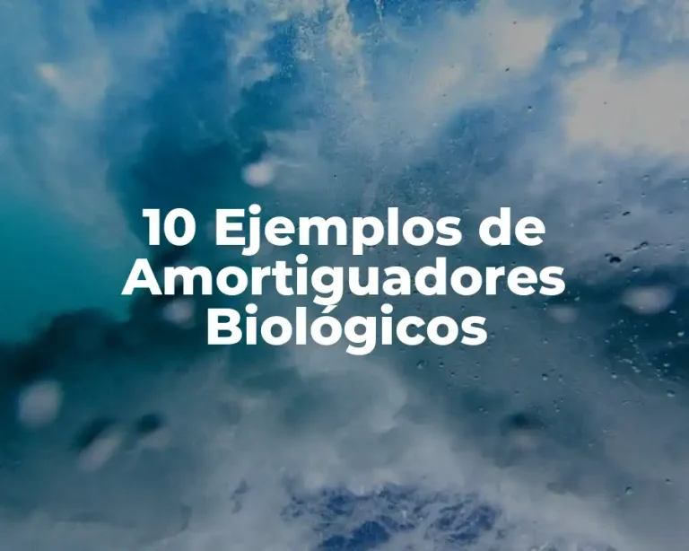 10 Ejemplos de Amortiguadores Biológicos