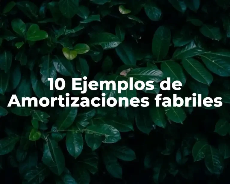 10 Ejemplos de Amortizaciones fabriles